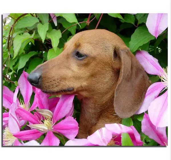 

5D Diy Diamond Embroidery Dog Crafts Direct Selling Needlework Mosaic Diy Diamond Painting Kit Full Square/round