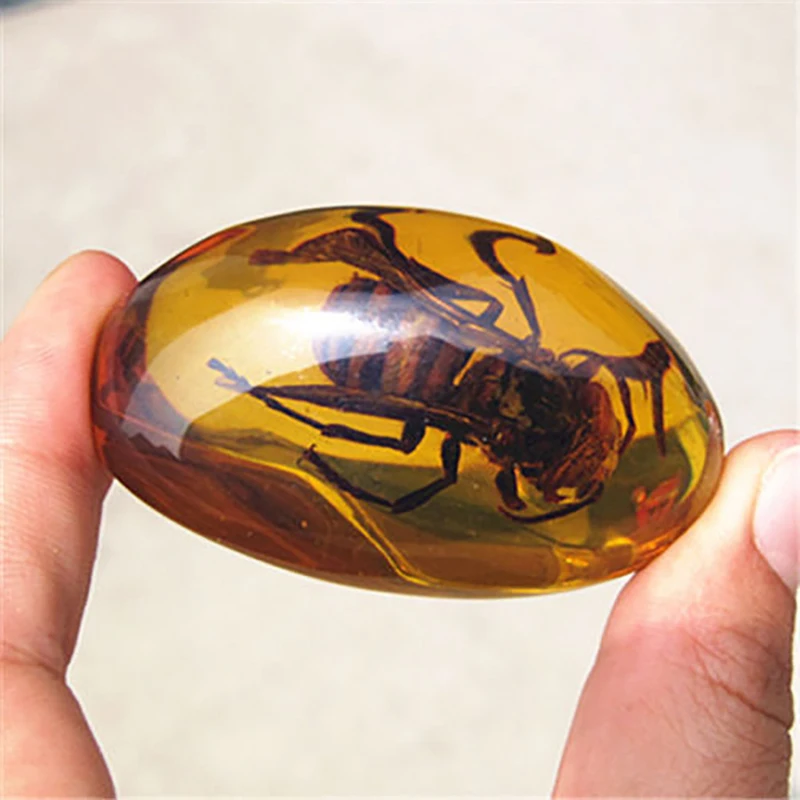 Желтые янтарные пчелы натуральные насекомые образцы для украшения
