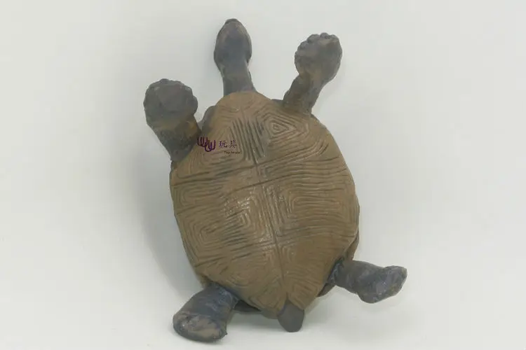 Горячая игрушка: маленький Галапагос гигантская черепаха модель животные