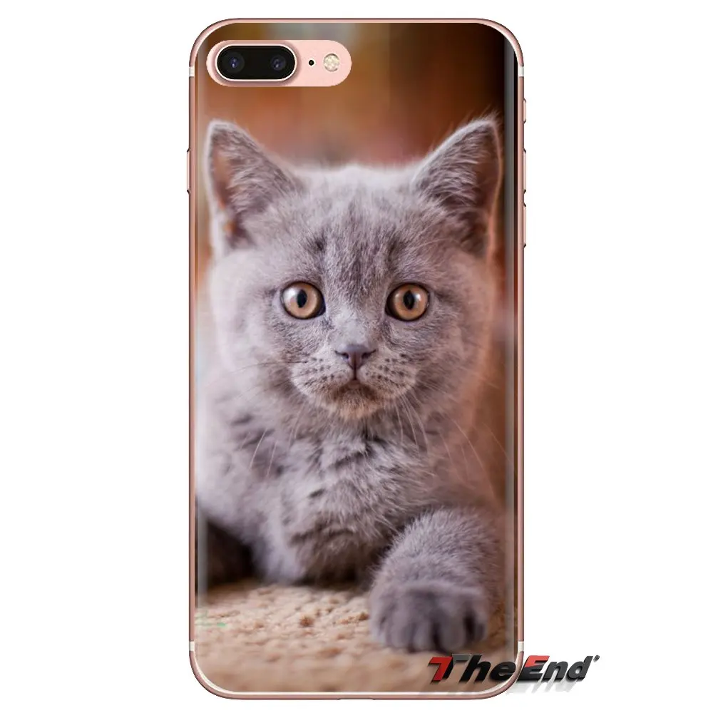 Soft TPU Phone Case pet russian blue cat green eyes For Xiaomi Mi4 Mi5 Mi5S Mi6 Mi A1 A2 5X 6X 8 9 Lite SE Pro Max Mix 2 3 2S |