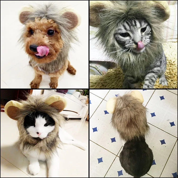 Король Кот парик для собак кошек аксессуары домашних животных головные уборы Лев
