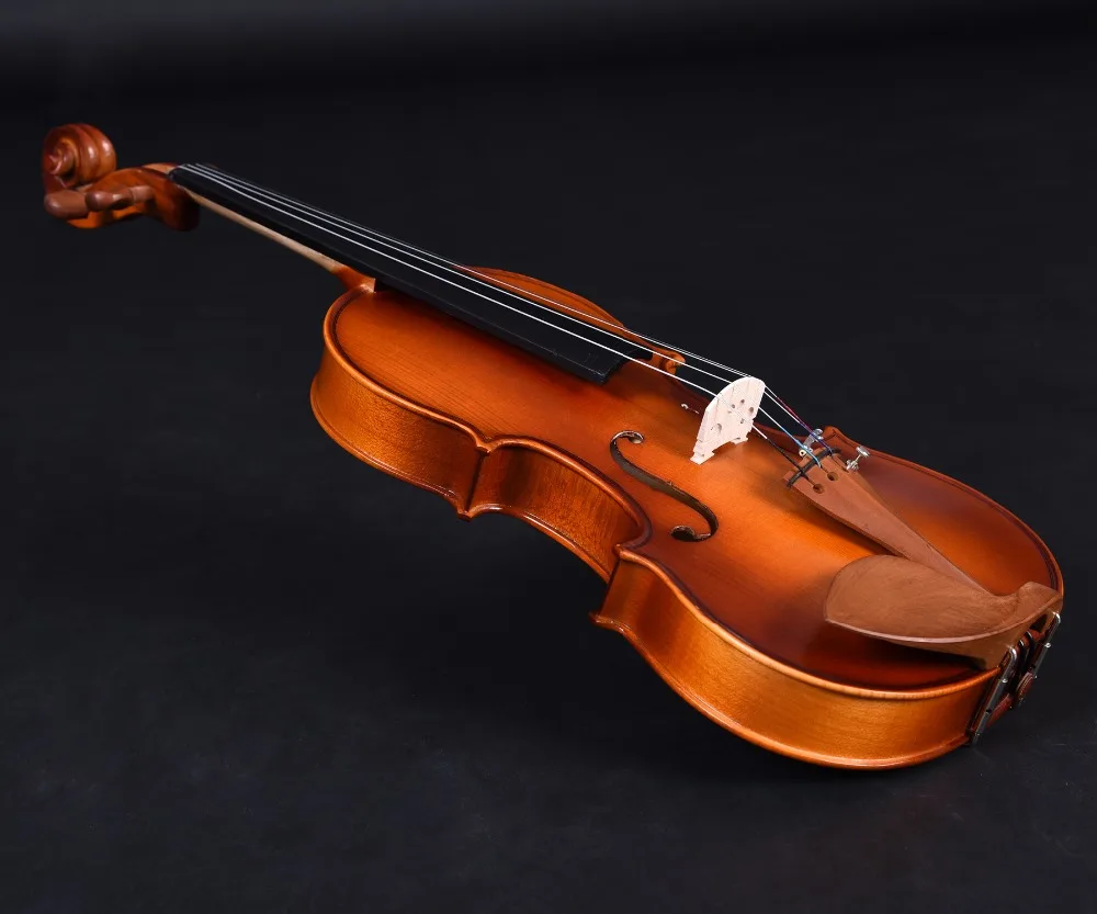 Caterina Va203 Скрипки начинающий |beginner violins|violinviolin beginner |