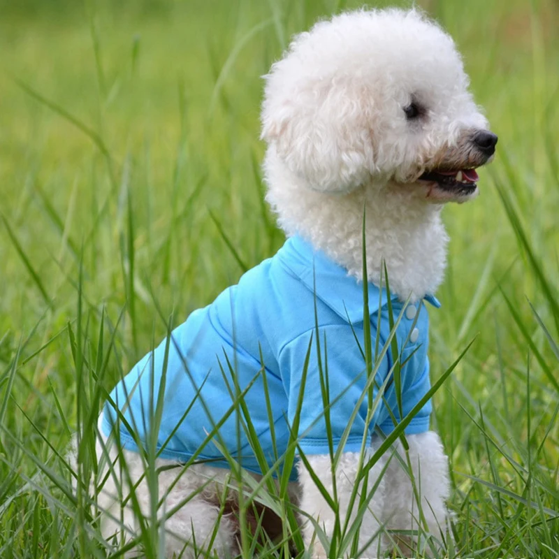 LAPLADOG летняя футболка для домашних питомцев женская одежда животных пальто