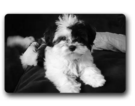 CHARMHOME модный коврик для гостинной Shih Tzu Puppy двери на заказ домашний декор ковер
