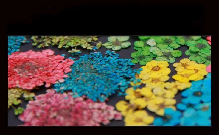 3D дизайн ногтей сухой цветок 12 видов цветов/упаковка сделай сам Типсы для дизайна