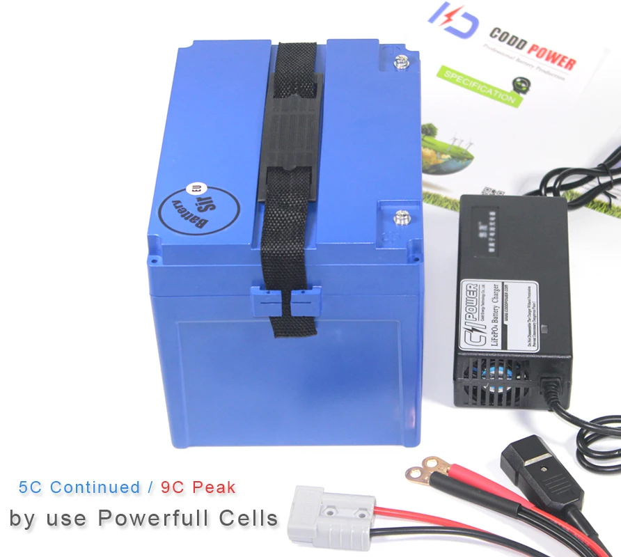 12V 100AH Lifepo4 высокоразрядный ток BMS Аккумулятор для авто моторная лодка RV Солнечная