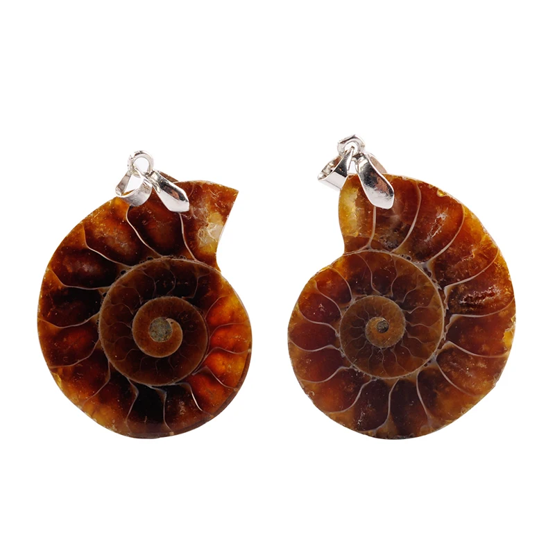 Модные ювелирные изделия натуральный аммонит осколочные ракушки морская