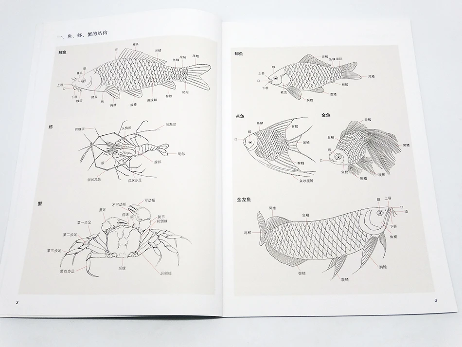 Новые китайские картины goingbi книга Рисование рыбы учитесь раскрашивать учебник