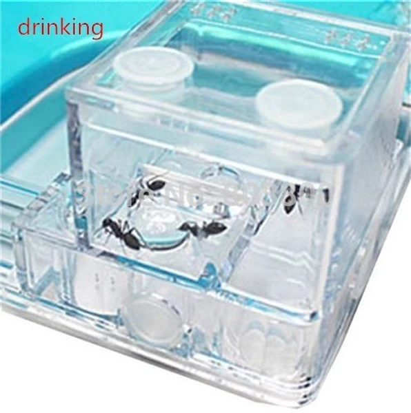 Ant Farm AntWorks Космической Эры Гель Семинар Природа Дети Образовательных Лабиринт