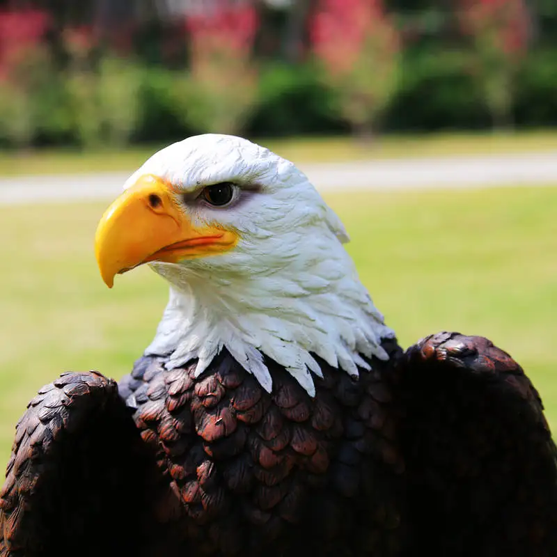 The eagle Les Loges Du Park Hotel домашняя мебель скульптура животного ремесла полимерное