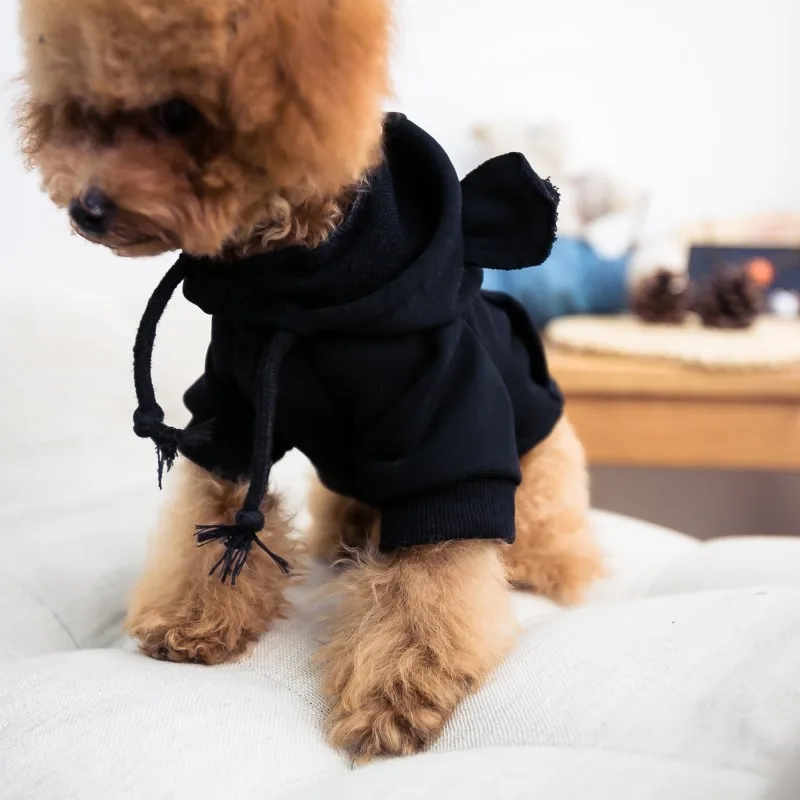 Bigeyedog весенняя одежда для собаки пальто домашних животных Толстовка кошка