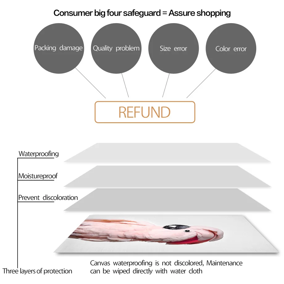 ColorfulBoy перо попугай настенная живопись холст животные скандинавские постеры и