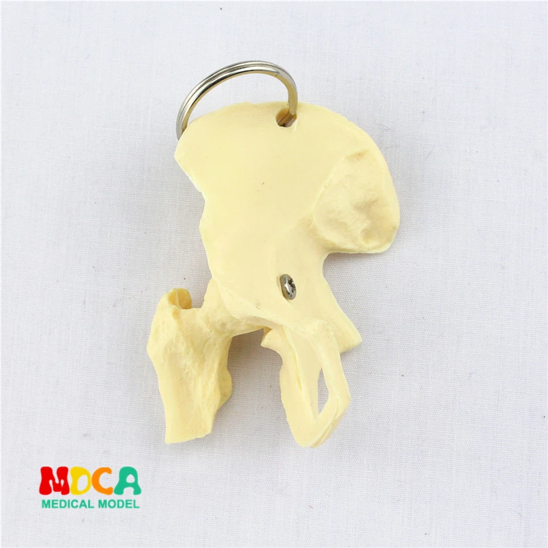 Человеческая нога Пряжка для ключей украшение подарок подвеска humanorg an anatomy