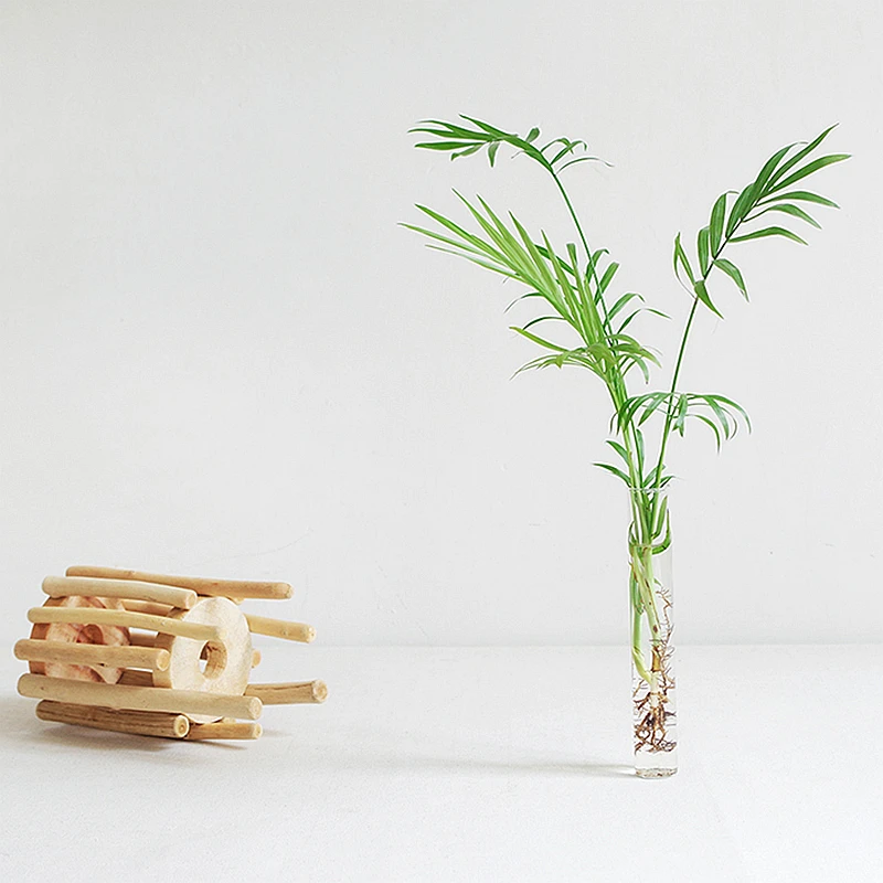 1 комплект стеклянная ваза в форме трубки прозрачная Цветочная бутылка с