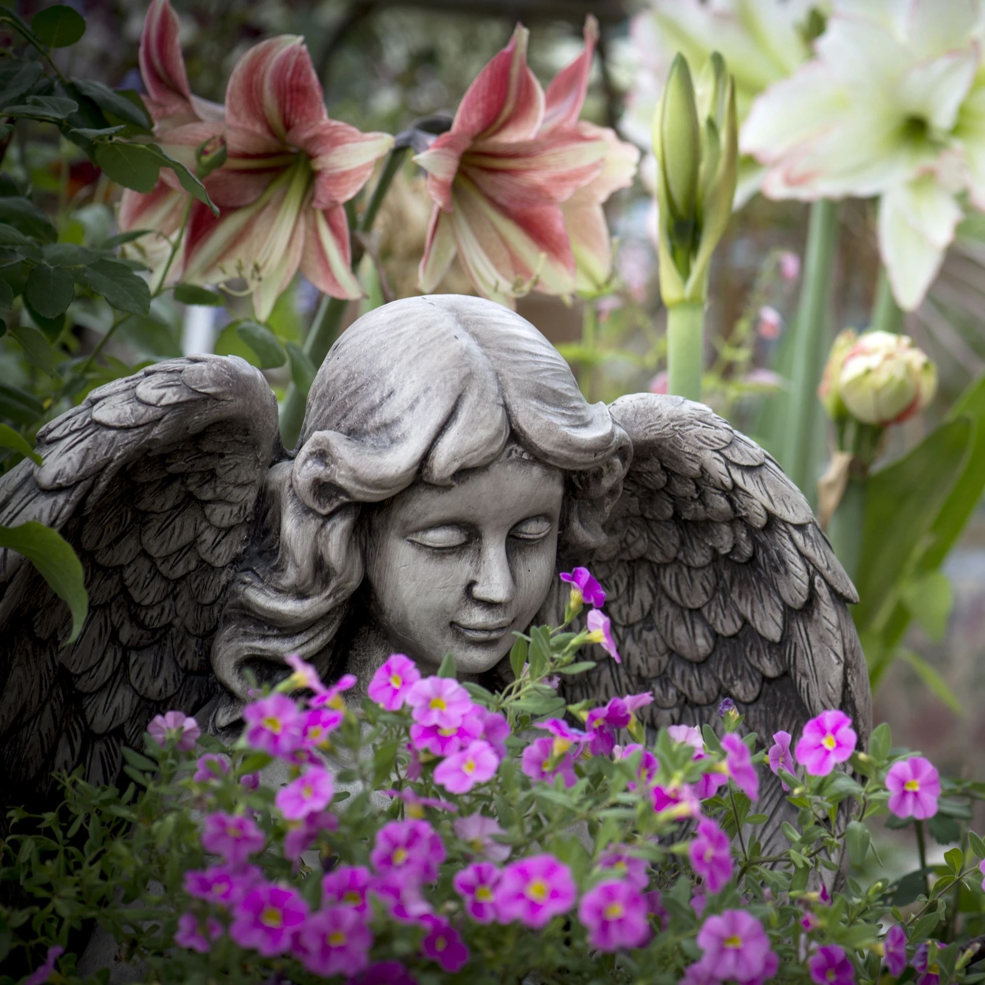 Садовый цемент Angel Украшения цветочного горшка садовый суккулент большого