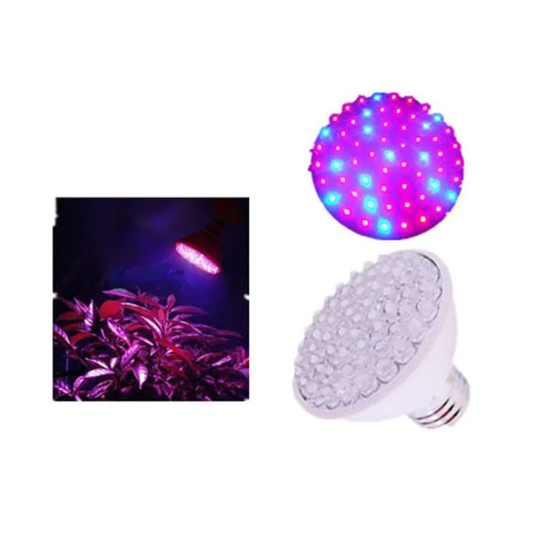 

10X Hot sales E27 2W LED grow light with 660nm Red+440nm blue led grow lamp free shipping