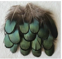 200pcslot 5 8cm loose green lady amherst pheasant featherslady amherst pheasant plumage feathers