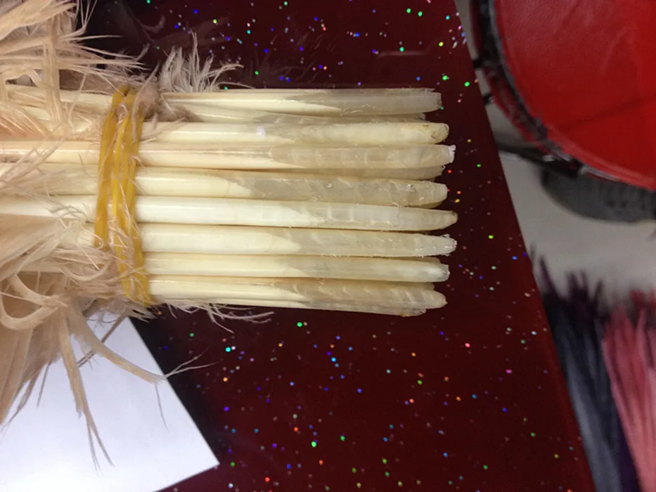 

NEW!50Pcs/Lot!20-30cm Long Natural Owl Feather Quills,Owl Quill Feathers for Wedding,original gift idea,