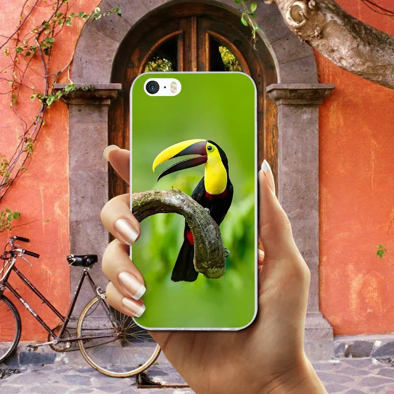Силиконовый Мягкий мобильный телефон из ТПУ чехлы для iphone 7 6 6S 8 PLUS X XR XS Max 5 5S SE 5C 4