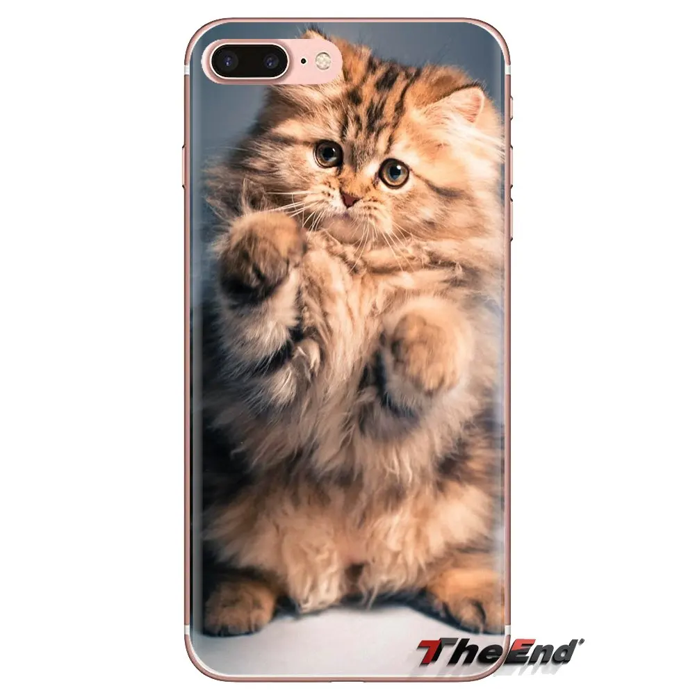 Прозрачные чехлы для Huawei Mate Honor 4C 5C 5X 6X 7 7A 7C 8 9 10 8C 8X 20 Lite Pro Pretty moly kitта Коты с принтом