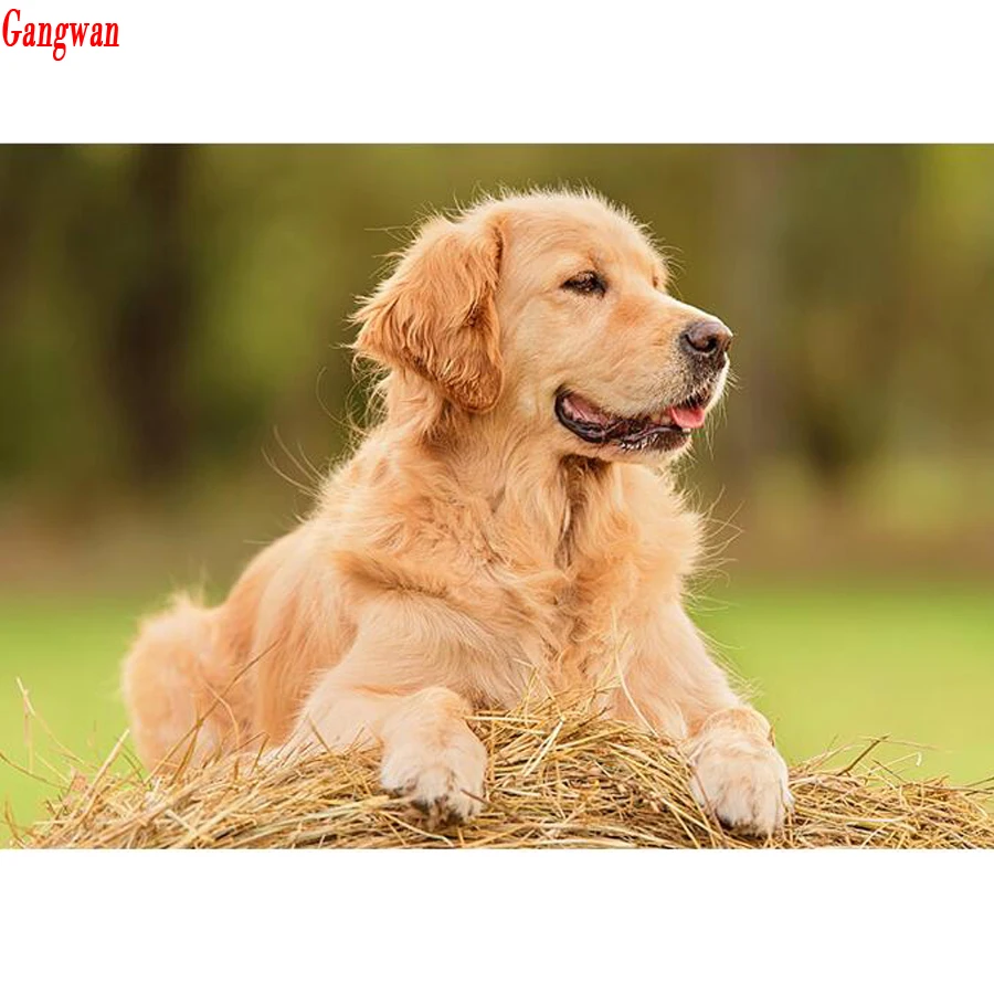 DIY 3D Diamond Embroidery Golden retriever painting Cross Stitch Full square round Mosaic dog Rhinestone Picture | Дом и сад