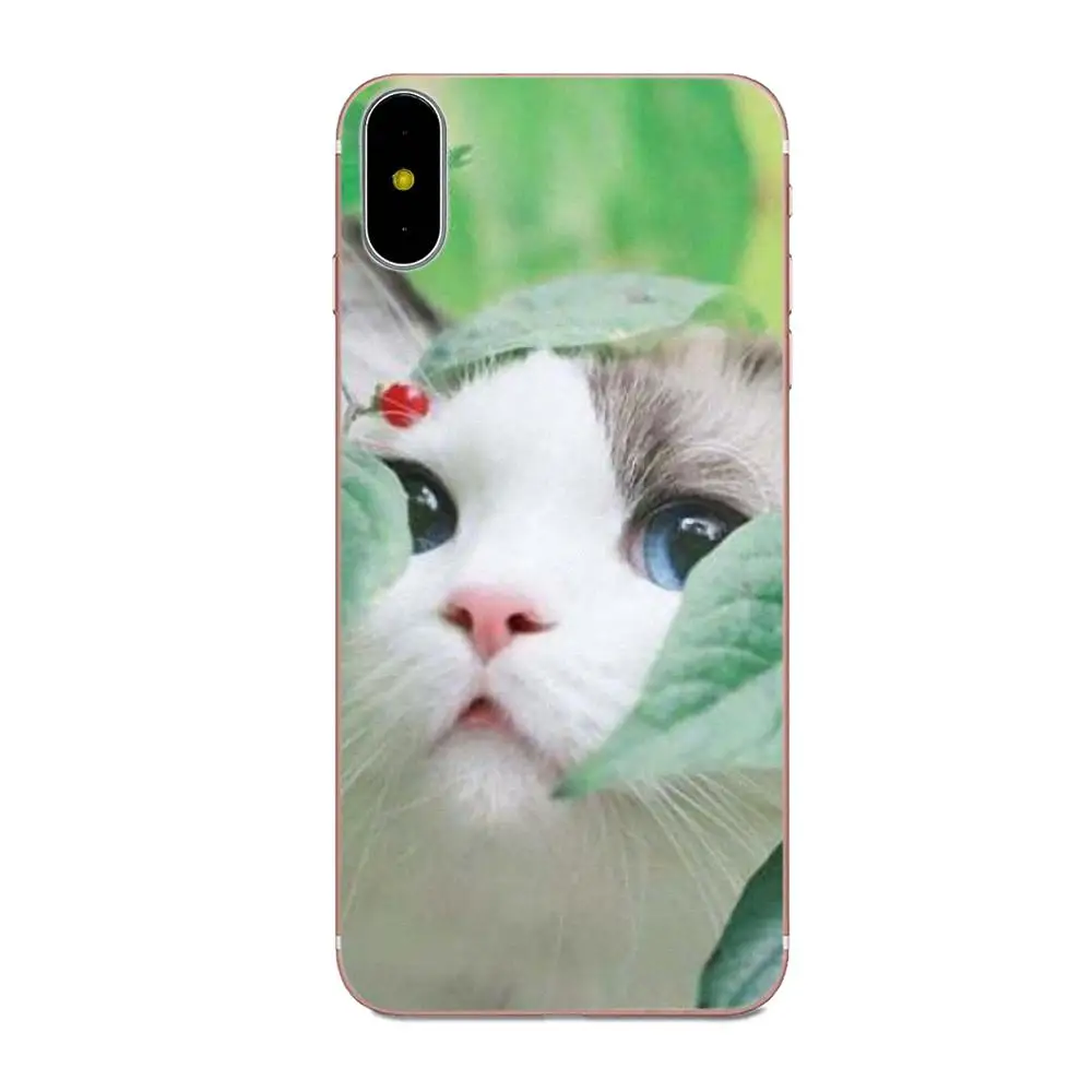 Любопытная кошка тайком для Galaxy J1 J2 J3 J330 J4 J5 J6 J7 J730 J8 2015 2016 2017 2018 mini Pro Прекрасный