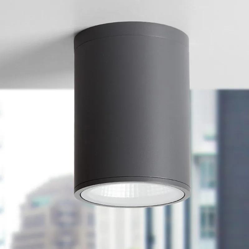 Cylinder LED Ceiling Down Light Fixture Modern Lamp COB Chipset Restaurant Balcony Lighting Fixtures 110-240V | Лампы и освещение
