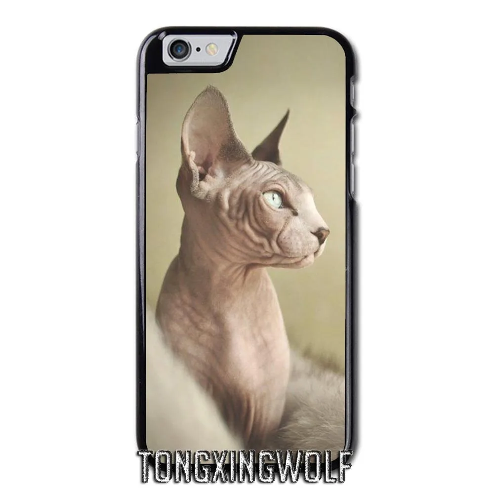 Sphynx cat Cover Case for Huawei P10 P20 P30 Mate 20 Lite Plus Nova 3i 4 Honor 9 10 Y3 Y5 Y6 Y7 Y9 Prime 2019 | Мобильные телефоны