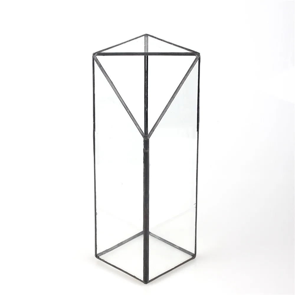 Аквариумные водные растения длинная четырехугольная призма геометрическая