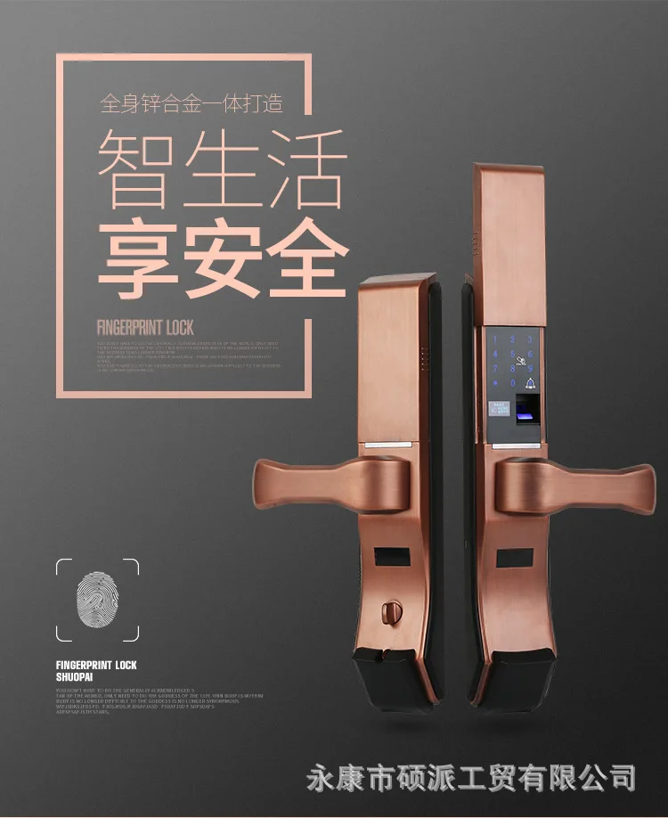 

Замок дверной из цинкового сплава с паролем и отпечатком пальца