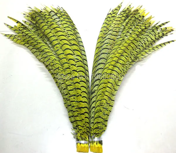 

EMS free shipping 80pcs 30-35inch 80-90cm Yellow dyed pheasant tail feather,Lady amherst side tails,pheasant feather