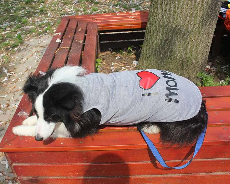 Одежда для больших собак 3XL 4XL 5XL 6XL 7XL 8XL 9XL модный костюм домашних питомцев пальто