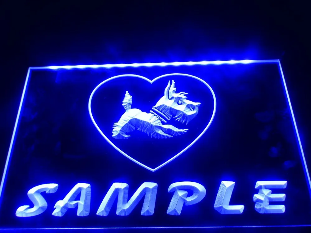 

DZ080- Name Personalized Custom Dog House Home LED Neon Light Sign