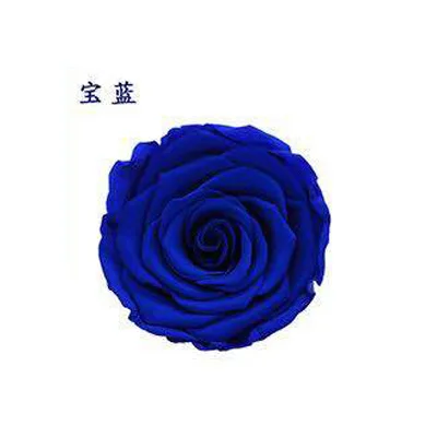 Royal Blue YO CHO 8 шт. сохраненные вечные розы головы в коробке Высокое качество сухой Натуральный Свежий цветок навсегда Роза год подарок на день Святого Валентина 5 см - Цвет: Royal Blue