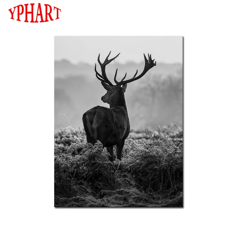 Framed 1 Panels Artwork High Quality Modern Wall Art On Canvas Animal Oil Painting Deer Hang Pictures Room Decor | Дом и сад