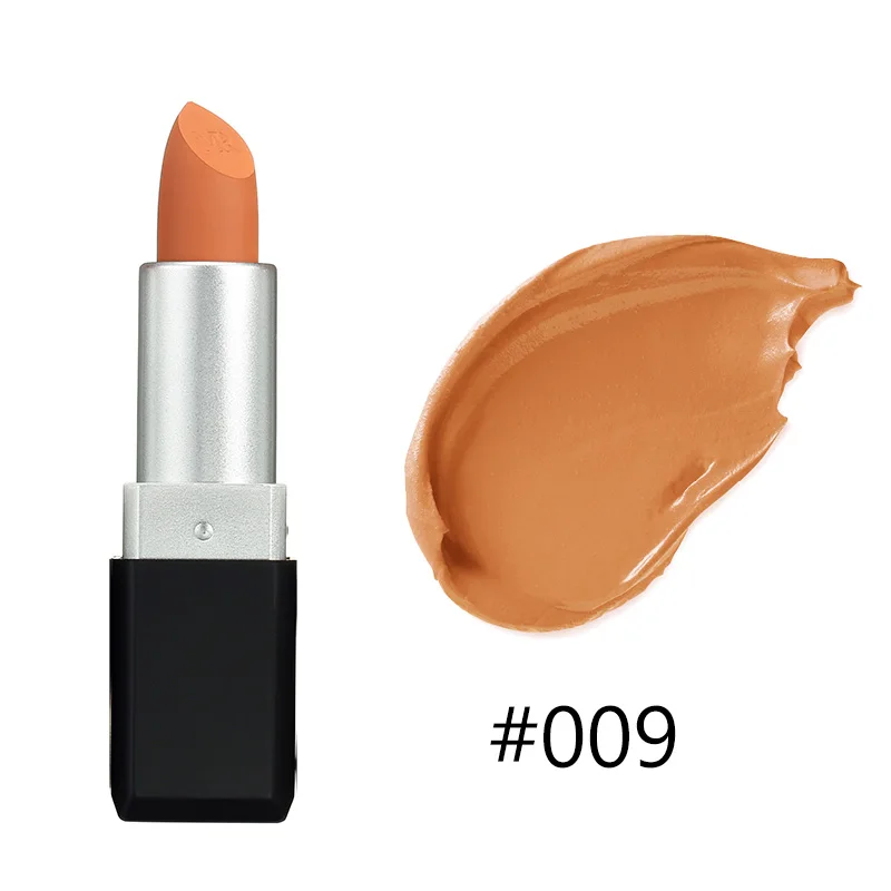 BearPaw 1 PC Nude водостойкая матовая губная помада цвета тыквы Витамин Е увлажняющий водостойкий Профессиональная помада - Цвет: 9