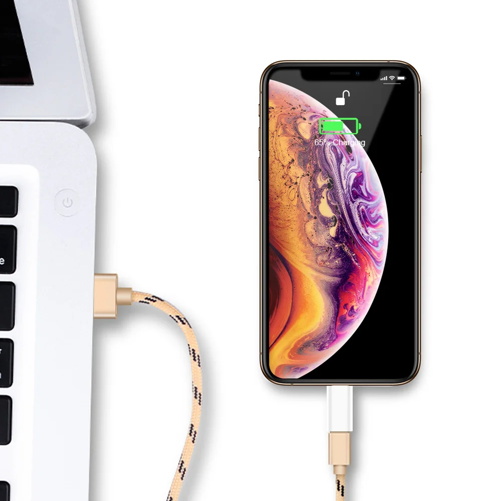 Ascromy USB C type кабель зарядное устройство адаптер конвертер для iPhone XS Max XR X 8 7 6 Plus 5 se