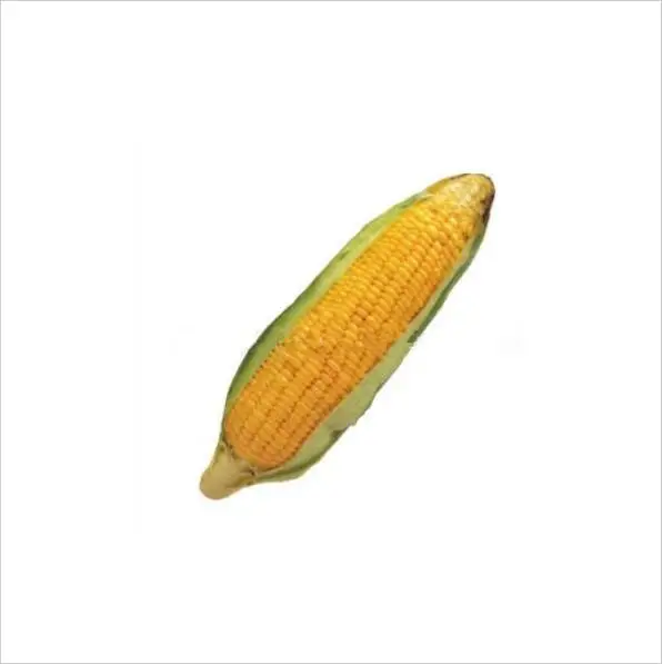 Corn Игрушка для домашних животных, плюшевая, на холсте, игрушки для укусов, кошачья кошка, собака, цит, вокал, креативное моделирование, растительная куриная кость, игрушка для жевания, скрип, игрушка 40 A1 - Цвет: Corn