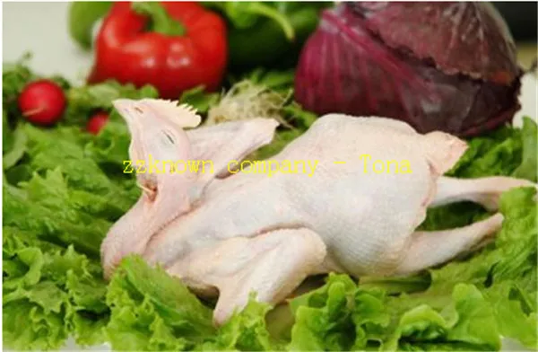 

Frozen Meat Dir machine/meat Cube Cutting machine/chicken Cutting Machine With Free Shipping By Sea