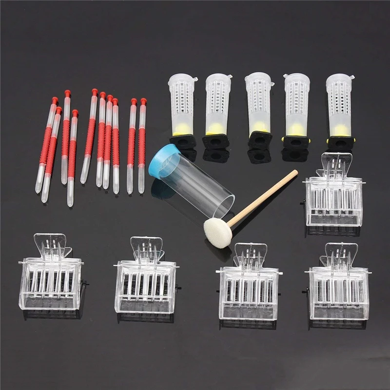 

DLKKLB Beekeeping Tools Kits Moving Grafting Set Shift Needle Bee Clips Hive Queen Larva Rearing Feeding Equipment Apiculture