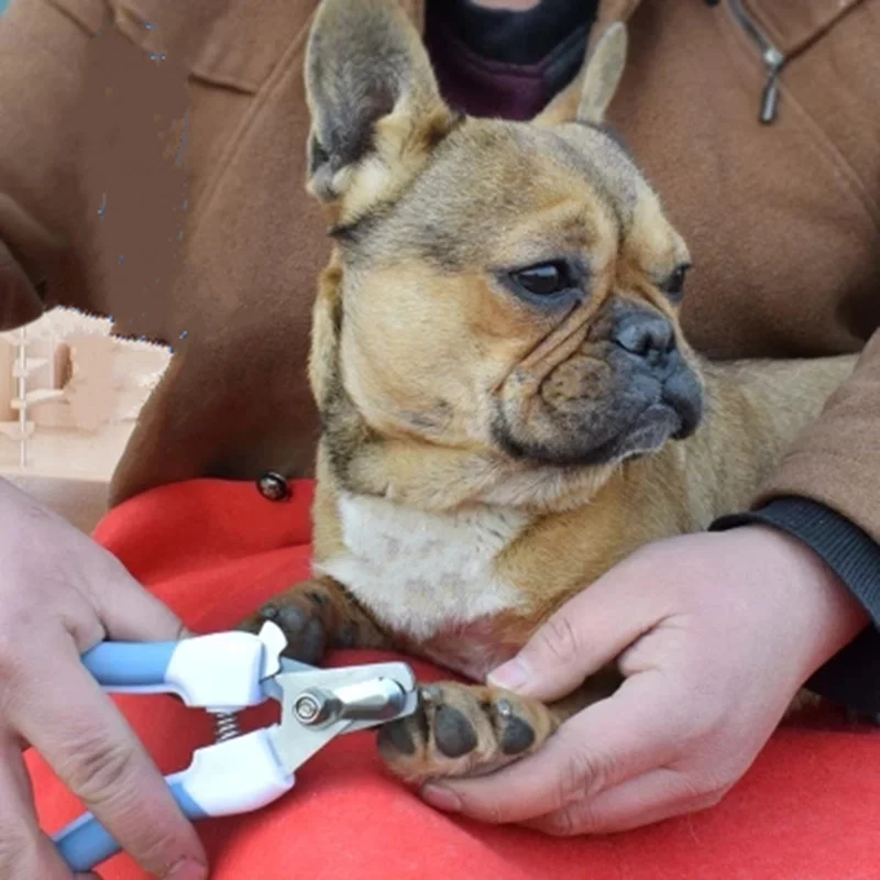Pet безопасность коготь ножницы для ногтей Ножницы Триммер Резак кусачки кошек