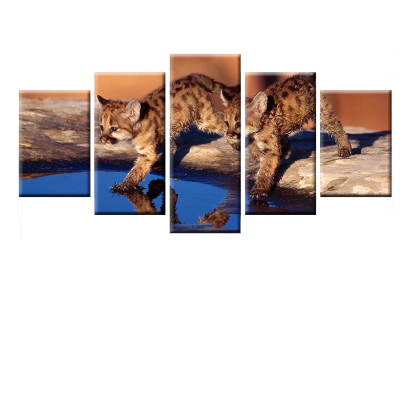 

HD Print Canvas Painting 5 Panels 2 Cute Kittens Playing Water Picture Poster Wall Art for Children Room Mural