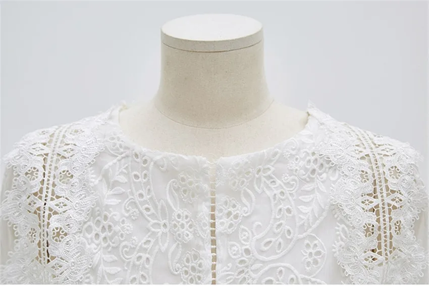 Spring Long Sleeve White Embroidery Lace Mini Dress Backless Cute Mini Lace Short Women Dress