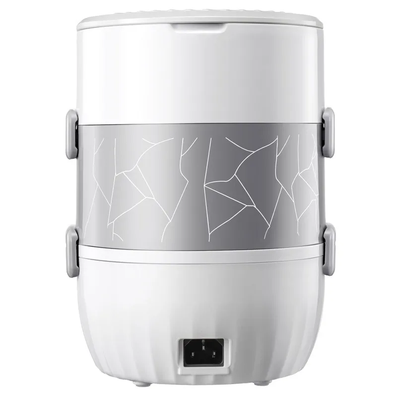 Многофункциональный вакуумный Электрический Ланч бокс для рисоварки 220