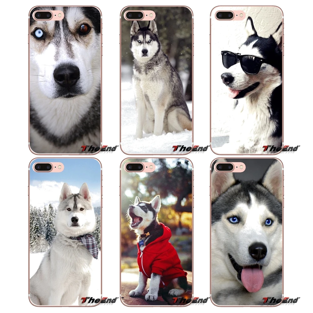 Для iPhone X 4 4S 5 5S 5C SE 6 6S 7 8 Plus Samsung Galaxy J1 J3 J5 J7 A3 A5 2016 2017 Husky аксессуары для собак чехлы