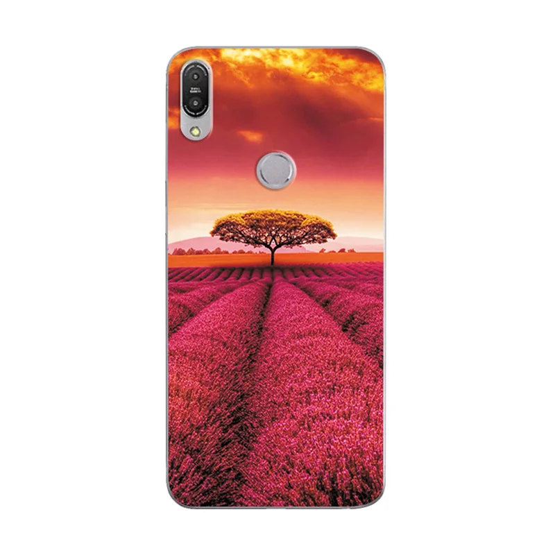 Z68 Для ASUS Zenfone Max Pro M1 ZB 602KL случай Scape различные телефонные чехлы MaxPro M1 ZB602 KL задняя крышка Fundas Capa ZB602KL - Цвет: Z68