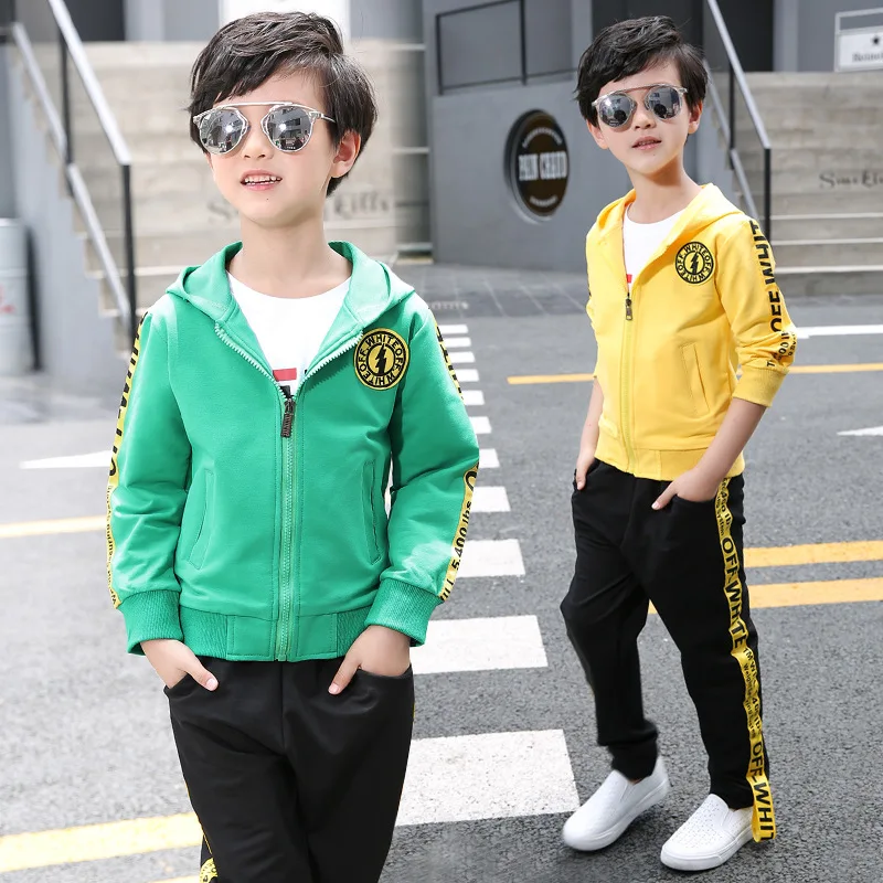 Spring Autumn Children Boy Clothes Sets Kids 2pcs long Sleeves T-Shirt Toddler Suits casual cotton baby girl Hooded sportswear |