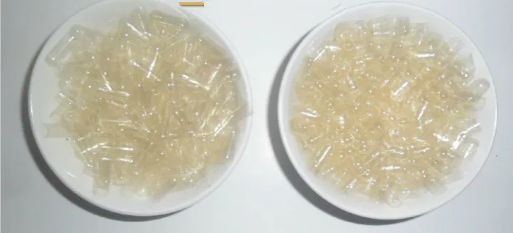 1000 шт./лот Бесплатная доставка прозрачные твердые желатиновые пустые капсулы