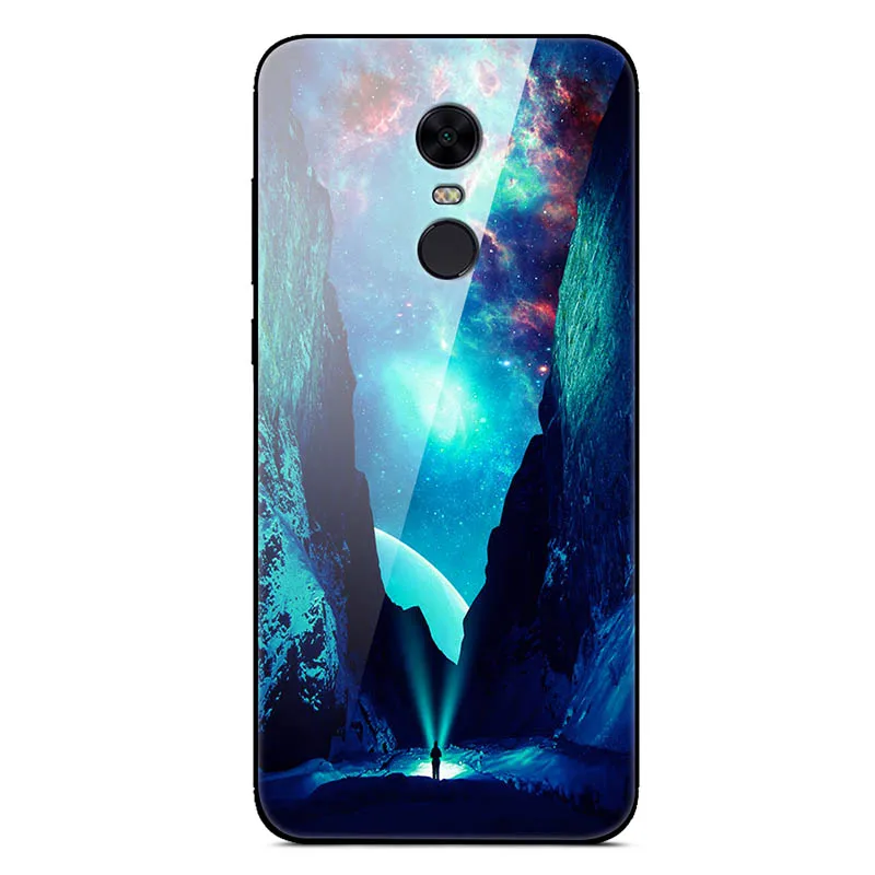 15 Чехол из закаленного стекла для Xiaomi Redmi 5 Plus, мягкий чехол-бампер, 3D Рисунок кошки, чехол для Xiaomi Redmi5 Redmi 5 Plus, чехол для телефона - Цвет: 15