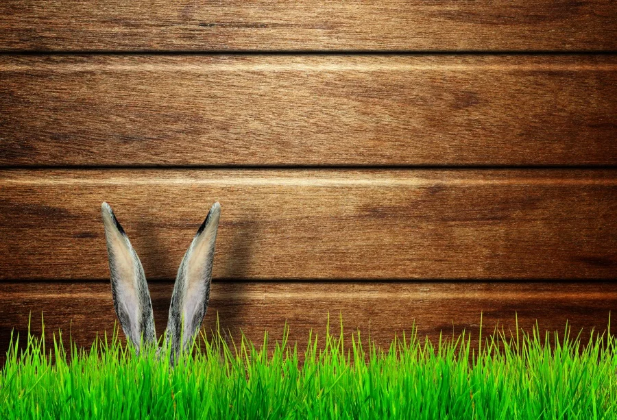 Laeacco фотофоны с изображением старой деревянной доски счастливого пасхального